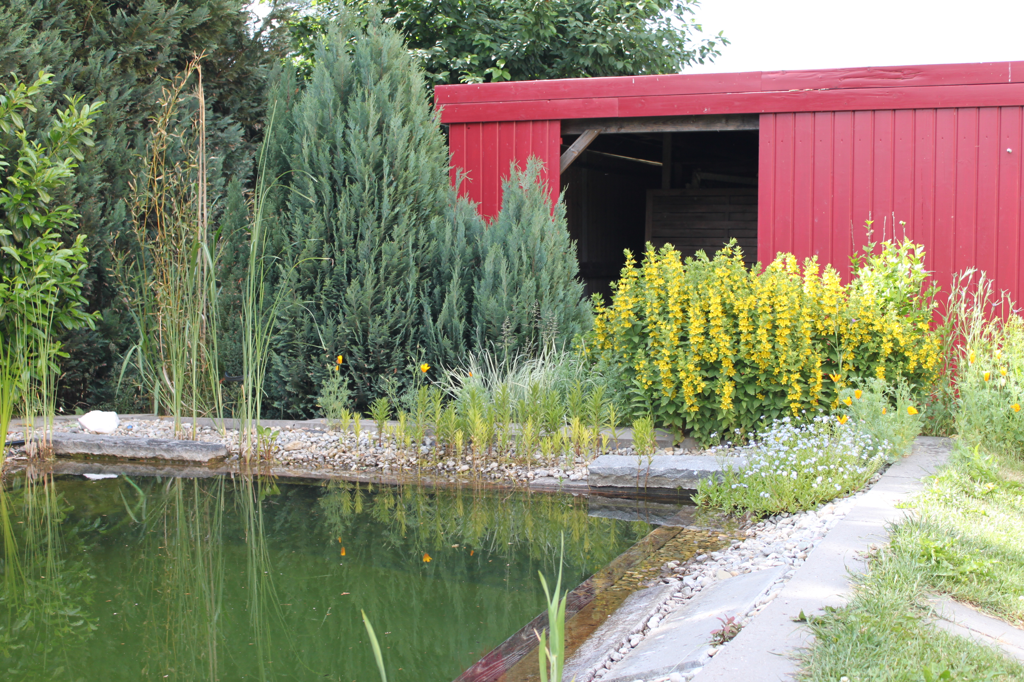 Unser Gartenteich